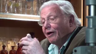 david atenboroughs natural curiousities