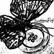 buttonfly