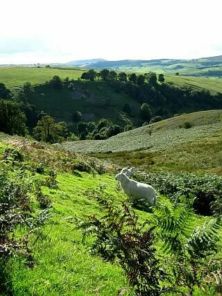 shropshire hills buy local be sustainable shropshire hills