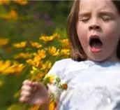 it's that time of year again - hay fever pollen allergy hay fever