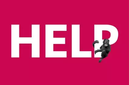 Pledge your help for the Orangutans Orangutans