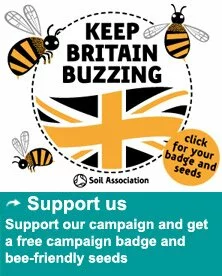 support Bees